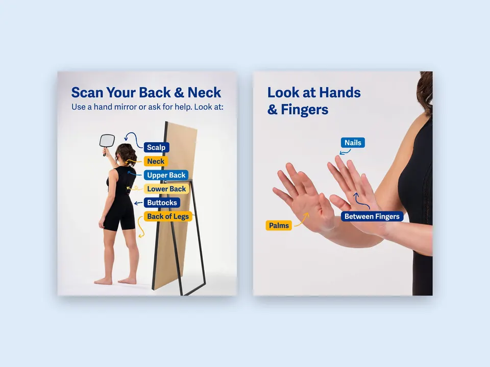 Carousel slides: Scan Your Back & Neck, and Look at Hands & Fingers