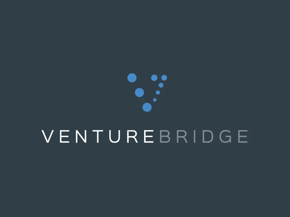 The VentureBridge logo reversed on dark slate